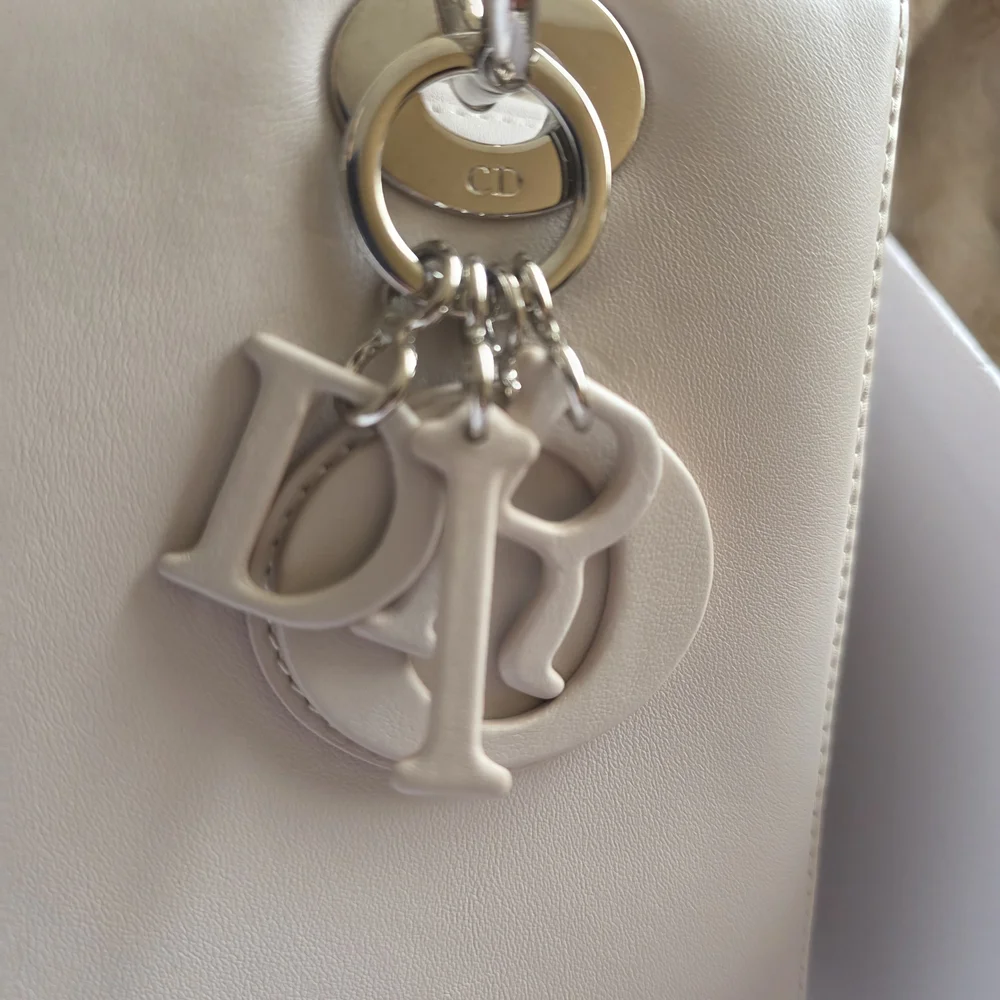 ✨Lady Dior x Andy Warhol Stiletto Motif – Christian Dior Collector Piece✨